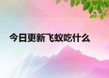 今日更新飛蟻吃什么