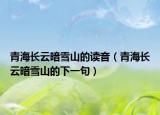 青海長云暗雪山的讀音（青海長云暗雪山的下一句）