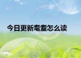 今日更新耄耋怎么讀