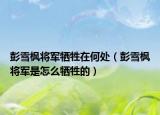 彭雪楓將軍犧牲在何處（彭雪楓將軍是怎么犧牲的）