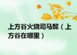 上方谷火燒司馬懿（上方谷在哪里）