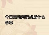 今日更新海鷗線是什么意思