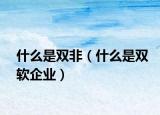 什么是雙非（什么是雙軟企業(yè)）