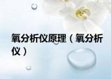 氧分析儀原理（氧分析儀）