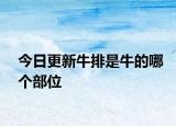 今日更新牛排是牛的哪個(gè)部位