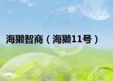 海獺智商（海獺11號(hào)）