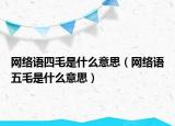 網(wǎng)絡(luò)語四毛是什么意思（網(wǎng)絡(luò)語五毛是什么意思）