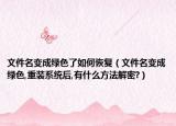 文件名變成綠色了如何恢復（文件名變成綠色,重裝系統(tǒng)后,有什么方法解密?）