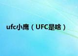 ufc小鷹（UFC是啥）