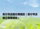 賽爾號該隱在哪捕捉（賽爾號該隱在哪里捕捉）