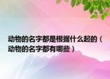 動物的名字都是根據(jù)什么起的（動物的名字都有哪些）