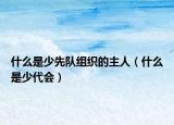 什么是少先隊組織的主人（什么是少代會）