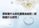 麻核是什么放在嘴里會(huì)如何（麻核是什么刑罰）