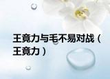 王竟力與毛不易對戰(zhàn)（王竟力）