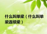 什么叫單梁（什么叫單梁連續(xù)梁）