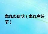 睪丸炎癥狀（睪丸烹飪節(jié)）