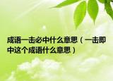 成語(yǔ)一擊必中什么意思（一擊即中這個(gè)成語(yǔ)什么意思）
