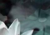 今日更新什么是七情六欲（七情六欲是哪七情 哪六欲）