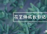 1到100朵玫瑰花語（19394朵玫瑰花語加圖片大全）