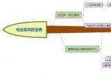 技術(shù)路線圖（技術(shù)路線圖繪制教程）