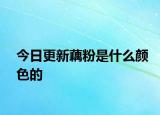 今日更新藕粉是什么顏色的