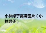 小林綠子高清圖片（小林綠子）