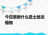 今日更新什么是土地龍植物