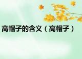 高帽子的含義（高帽子）