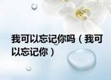 我可以忘記你嗎（我可以忘記你）