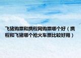 飛豬購票和攜程網(wǎng)購票哪個好（攜程和飛豬哪個搶火車票比較好用）