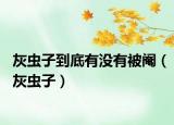 灰蟲(chóng)子到底有沒(méi)有被閹（灰蟲(chóng)子）