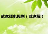 武家輝電視?。ㄎ浼逸x）