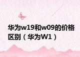 華為w19和w09的價(jià)格區(qū)別（華為W1）