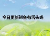 今日更新鱷魚有舌頭嗎