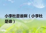 小李杜是誰啊（小李杜是誰）