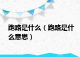 跑路是什么（跑路是什么意思）