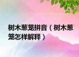 樹(shù)木蔥蘢拼音（樹(shù)木蔥籠怎樣解釋）