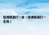 驚濤駭浪打一肖（驚濤駭浪打一生肖）