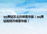 qq黃鉆怎么升級豪華版（qq黃鉆如何升級豪華版）