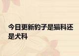 今日更新豹子是貓科還是犬科