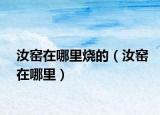 汝窯在哪里燒的（汝窯在哪里）