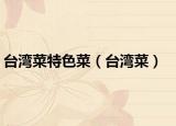 臺(tái)灣菜特色菜（臺(tái)灣菜）