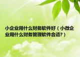 小企業(yè)用什么財(cái)務(wù)軟件好（小微企業(yè)用什么財(cái)務(wù)管理軟件合適?）