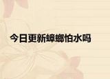 今日更新蟑螂怕水嗎