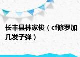長(zhǎng)豐縣林家?。╟f修羅加幾發(fā)子彈）