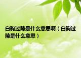 白駒過(guò)隙是什么意思?。ò遵x過(guò)隙是什么意思）