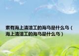 素有海上清潔工的海鳥是什么鳥（海上清潔工的海鳥是什么鳥）