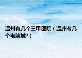溫州有幾個(gè)三甲醫(yī)院（溫州有幾個(gè)電腦城?）