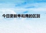 今日更新隼和鷹的區(qū)別