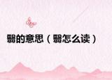 翳的意思（翳怎么讀）